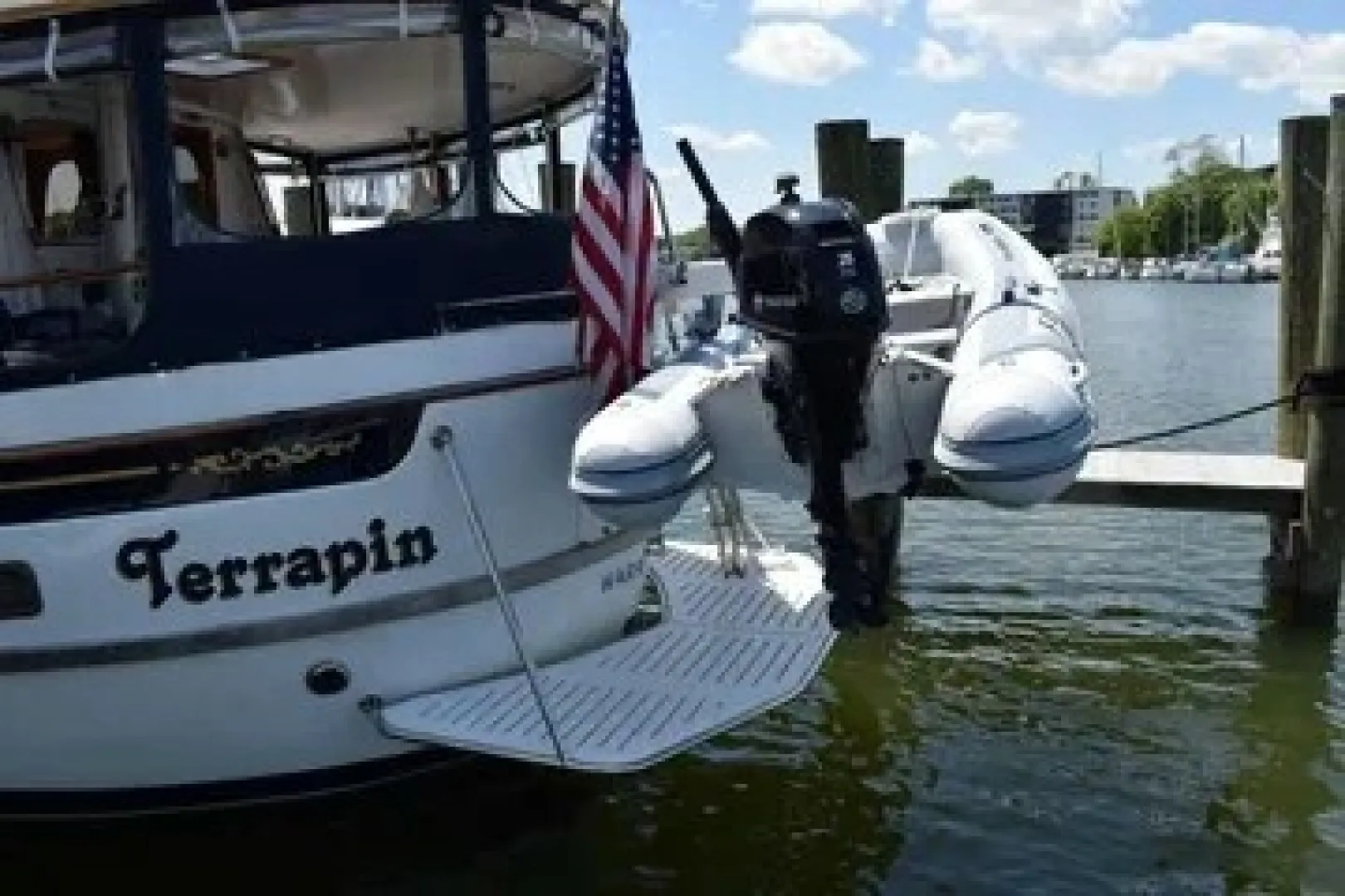 TERRAPIN, photograph 10